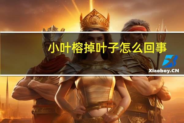 小叶榕掉叶子怎么回事