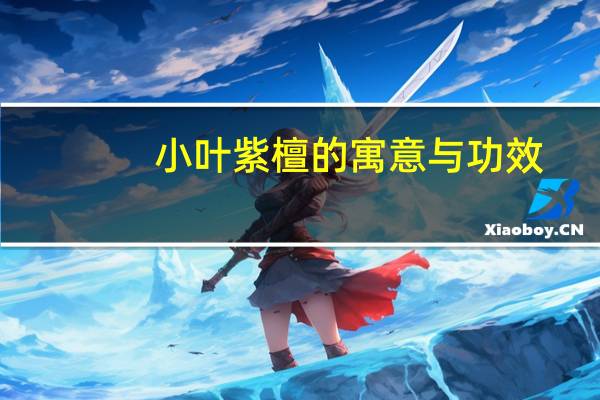 小叶紫檀的寓意与功效