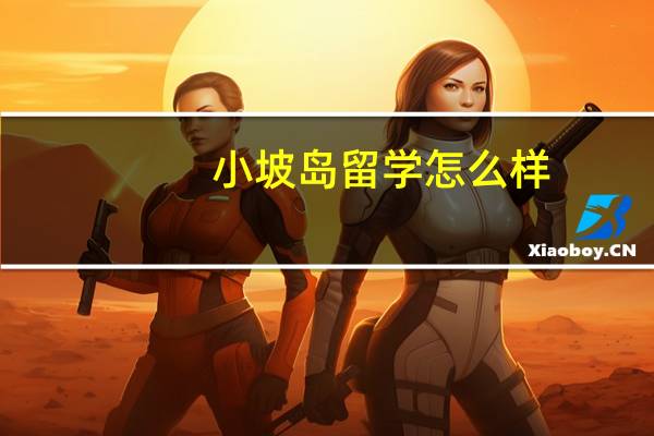 小坡岛留学怎么样