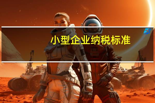 小型企业纳税标准