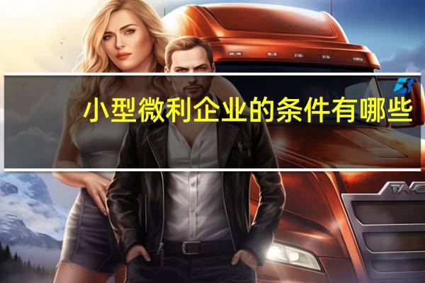 小型微利企业的条件有哪些_