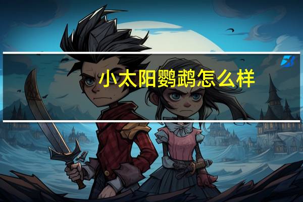小太阳鹦鹉怎么样