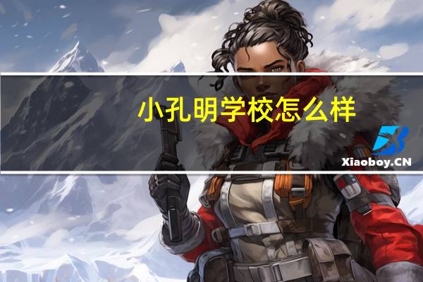 小孔明学校怎么样