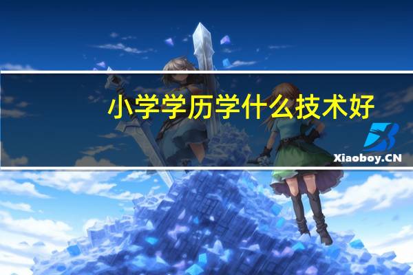 小学学历学什么技术好