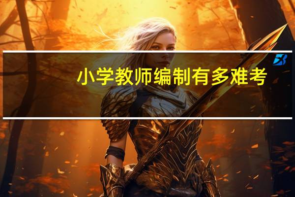 小学教师编制有多难考