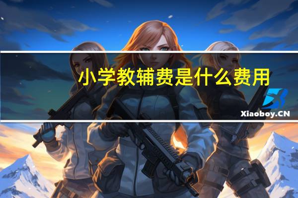 小学教辅费是什么费用