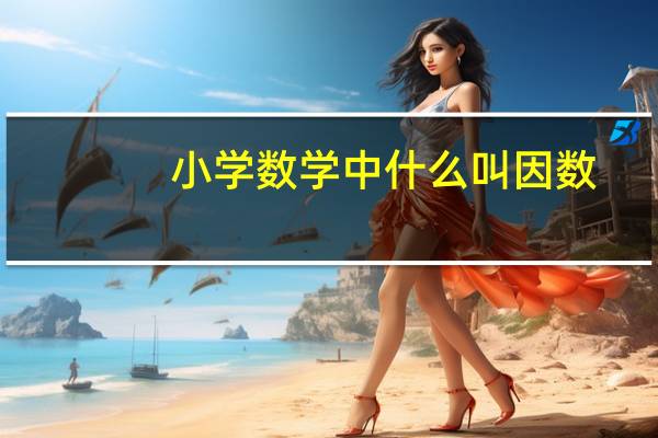 小学数学中什么叫因数