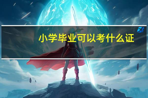 小学毕业可以考什么证