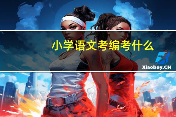 小学语文考编考什么