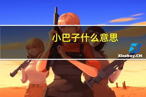 小巴子什么意思