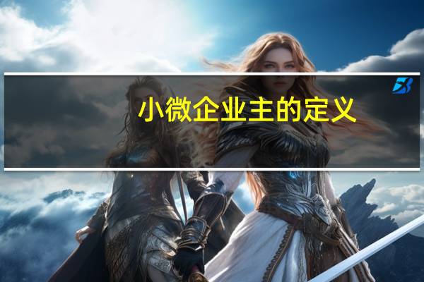小微企业主的定义