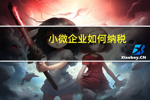 小微企业如何纳税