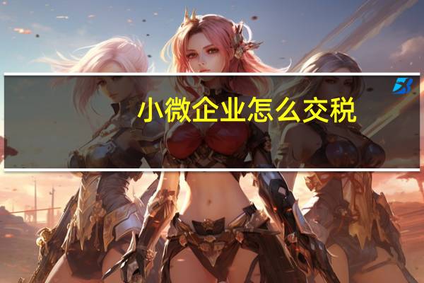 小微企业怎么交税