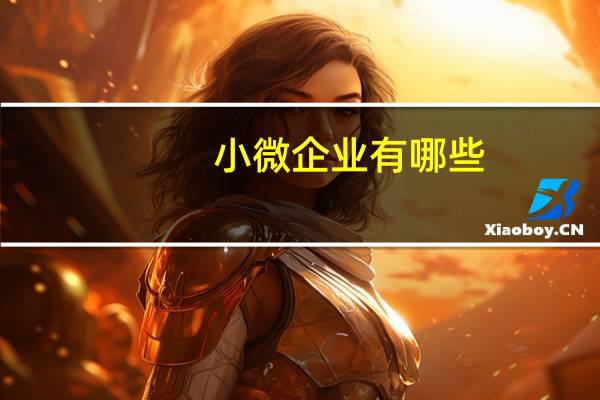 小微企业有哪些