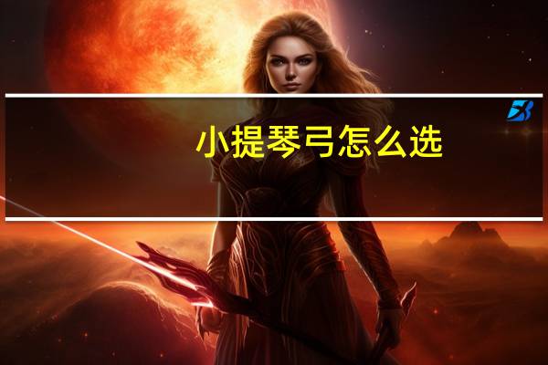 小提琴弓怎么选