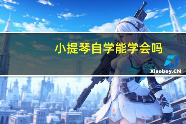 小提琴自学能学会吗
