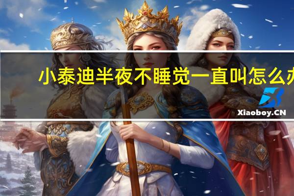 小泰迪半夜不睡觉一直叫怎么办