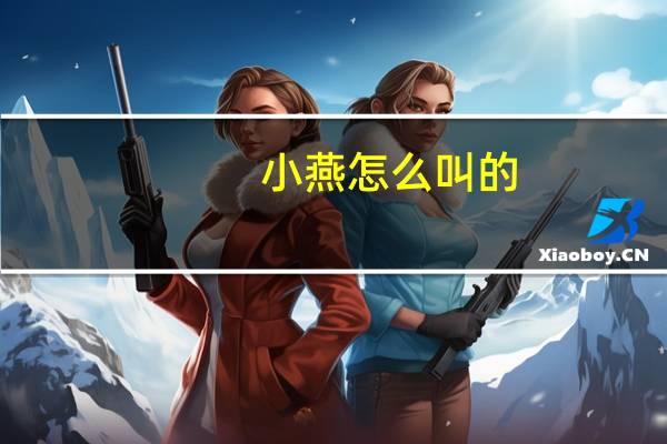 小燕怎么叫的