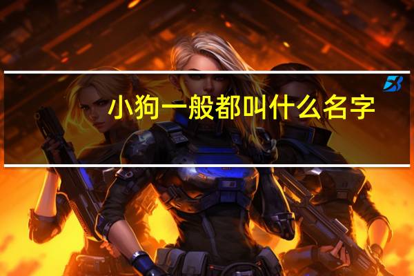 小狗一般都叫什么名字