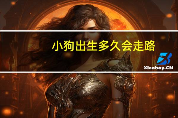 小狗出生多久会走路