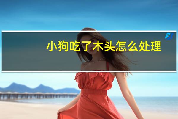 小狗吃了木头怎么处理