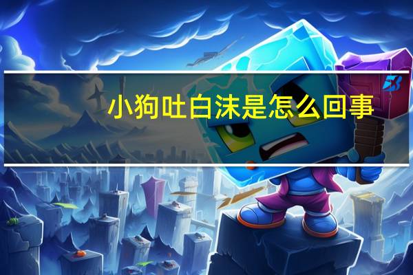 小狗吐白沫是怎么回事