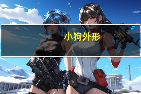 小狗外形