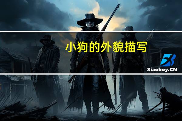 小狗的外貌描写