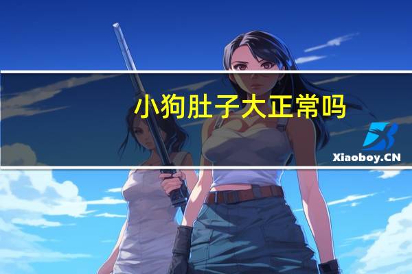 小狗肚子大正常吗