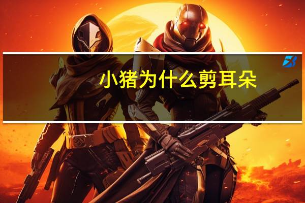 小猪为什么剪耳朵