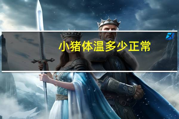小猪体温多少正常