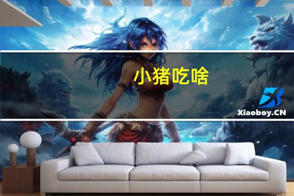 小猪吃啥