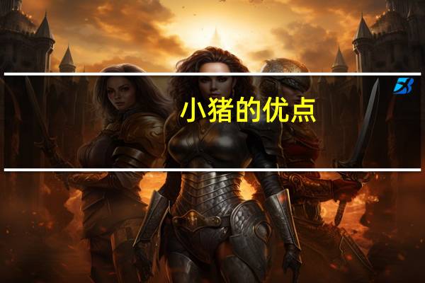 小猪的优点