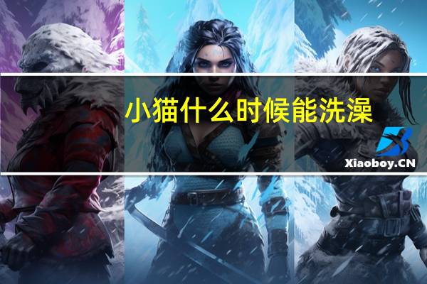 小猫什么时候能洗澡