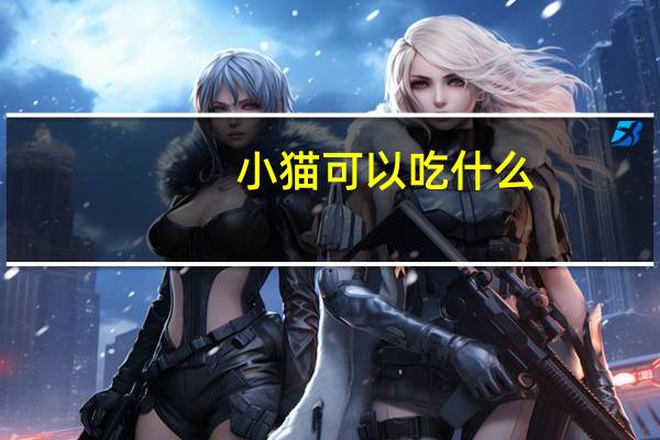 小猫可以吃什么