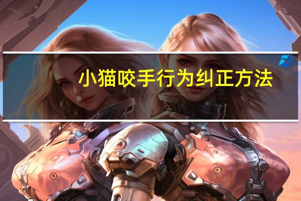 小猫咬手行为纠正方法