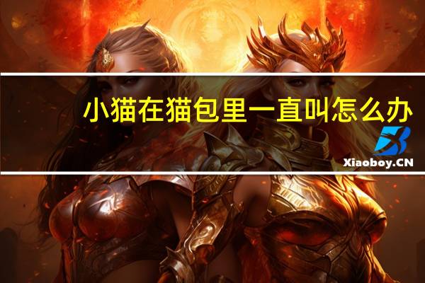 小猫在猫包里一直叫怎么办