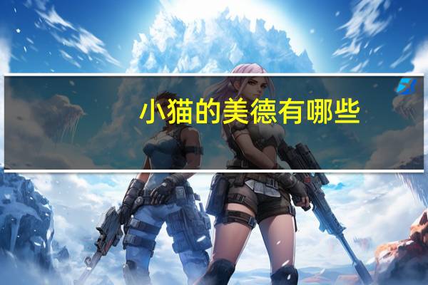 小猫的美德有哪些