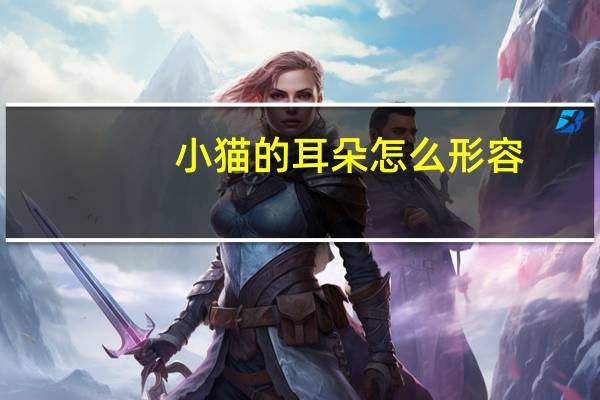 小猫的耳朵怎么形容