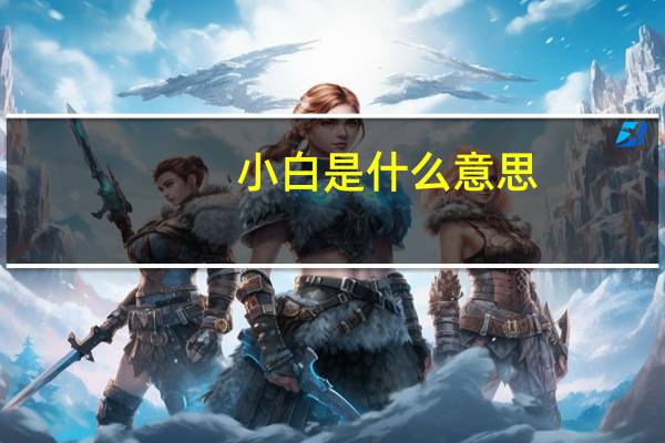 小白是什么意思