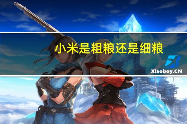 小米是粗粮还是细粮