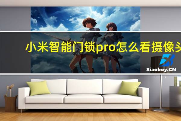 小米智能门锁pro怎么看摄像头