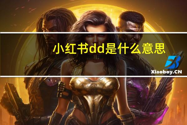 小红书dd是什么意思