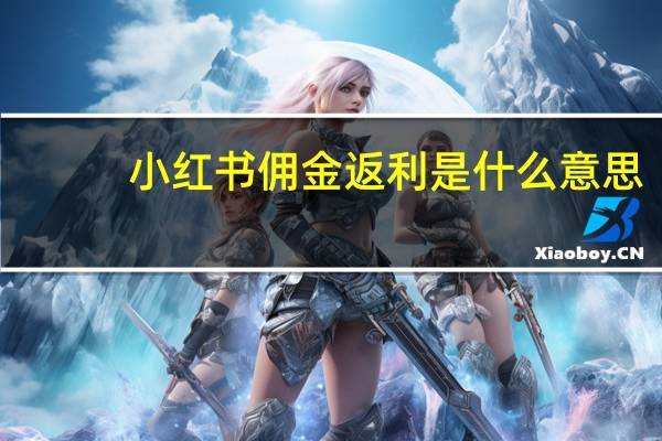 小红书佣金返利是什么意思