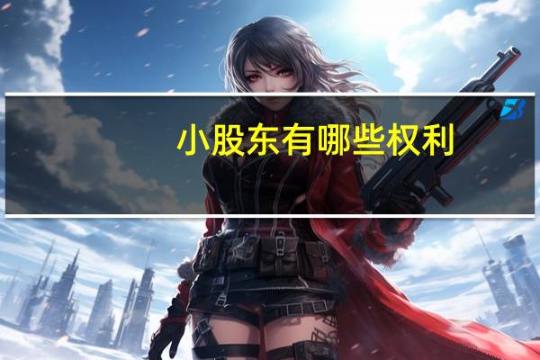 小股东有哪些权利
