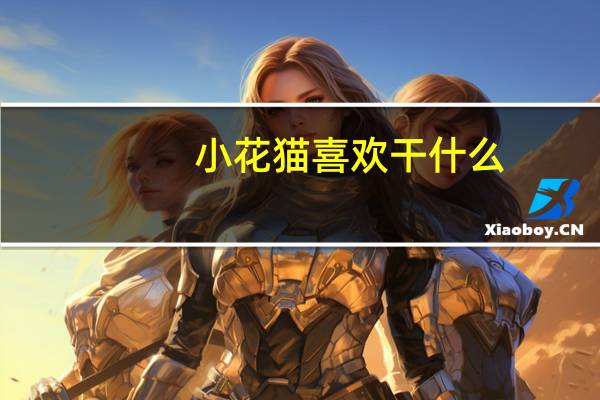 小花猫喜欢干什么