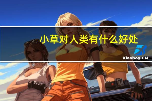 小草对人类有什么好处