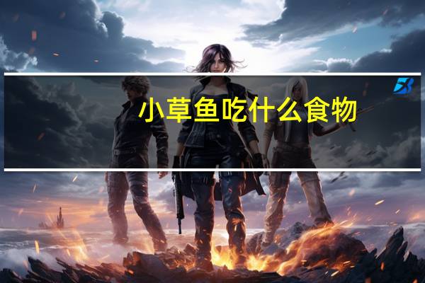 小草鱼吃什么食物