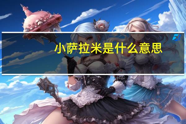 小萨拉米是什么意思
