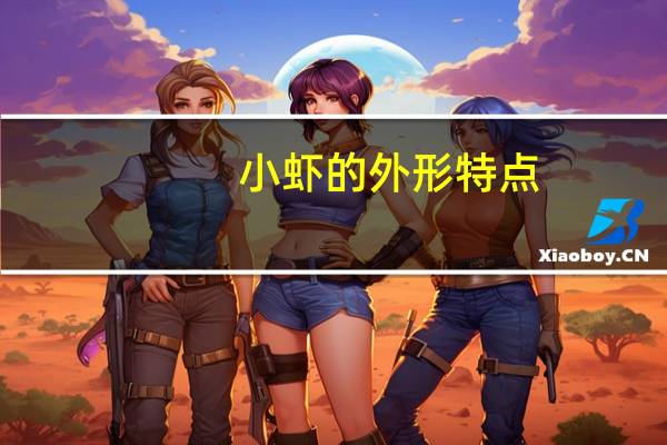 小虾的外形特点